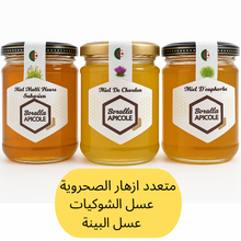 Charger l'image dans la galerie, .Mini Pack (Miel de Chardon /euphorbe / Multifleur saharien)