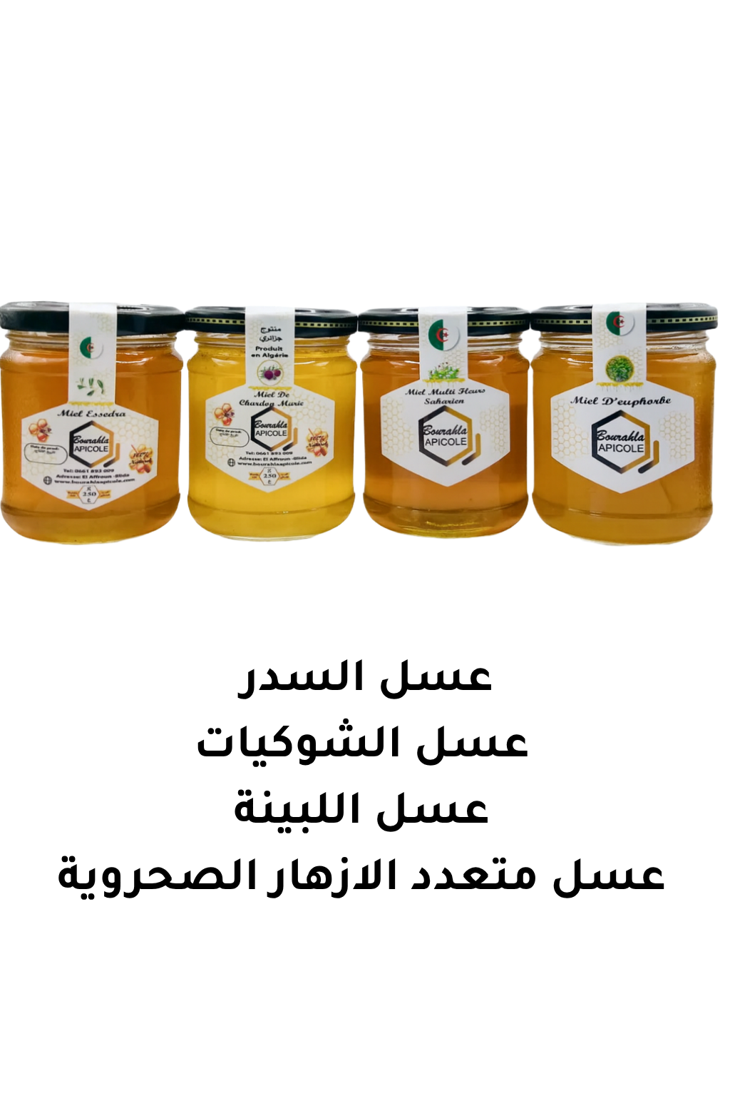 .Miel de jujubier /euphorbe/chardon/   multifleurs saharien